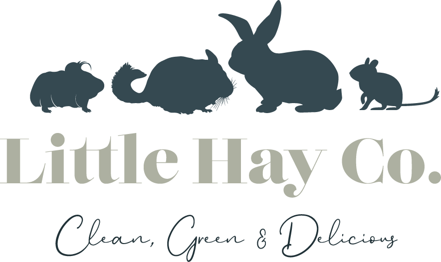 Little Hay Co. logo